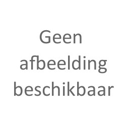 PSA Citroen / Peugeot